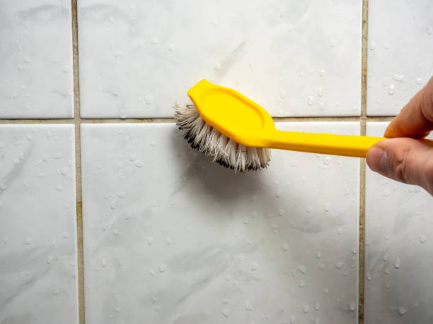 Best Mold Damage Repair  in Waconia, MN